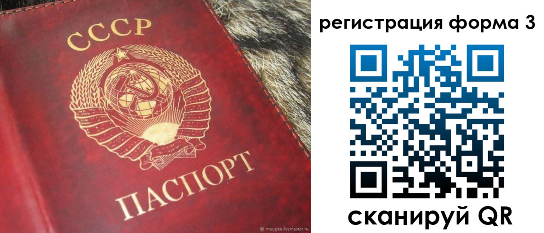 временная регистрация гарантия в Волгодонске